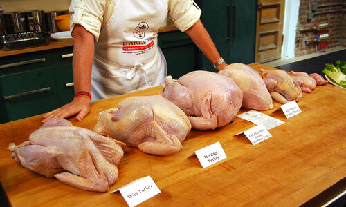 Video - Let's Talk Turkey – Dartagnan.com