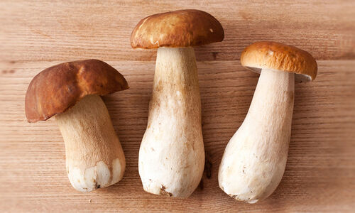 Cepes, Chestnuts, Truffles - Everyday Food – Dartagnan.com