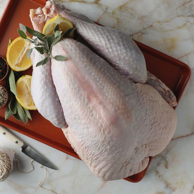 Heritage Turkey (Narragansett, Bourbon Red) image number 2